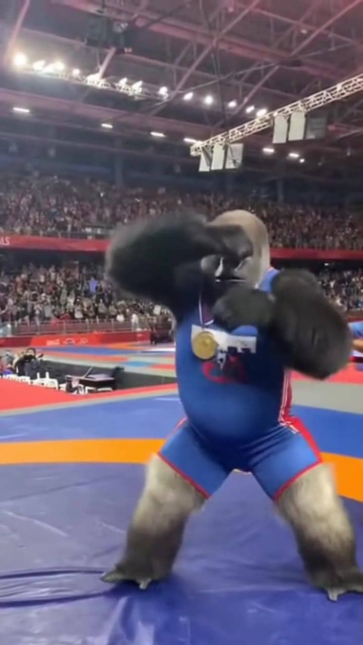 Sora 2 Pro enormous gorilla wins an olympic wrestling match, takes a...