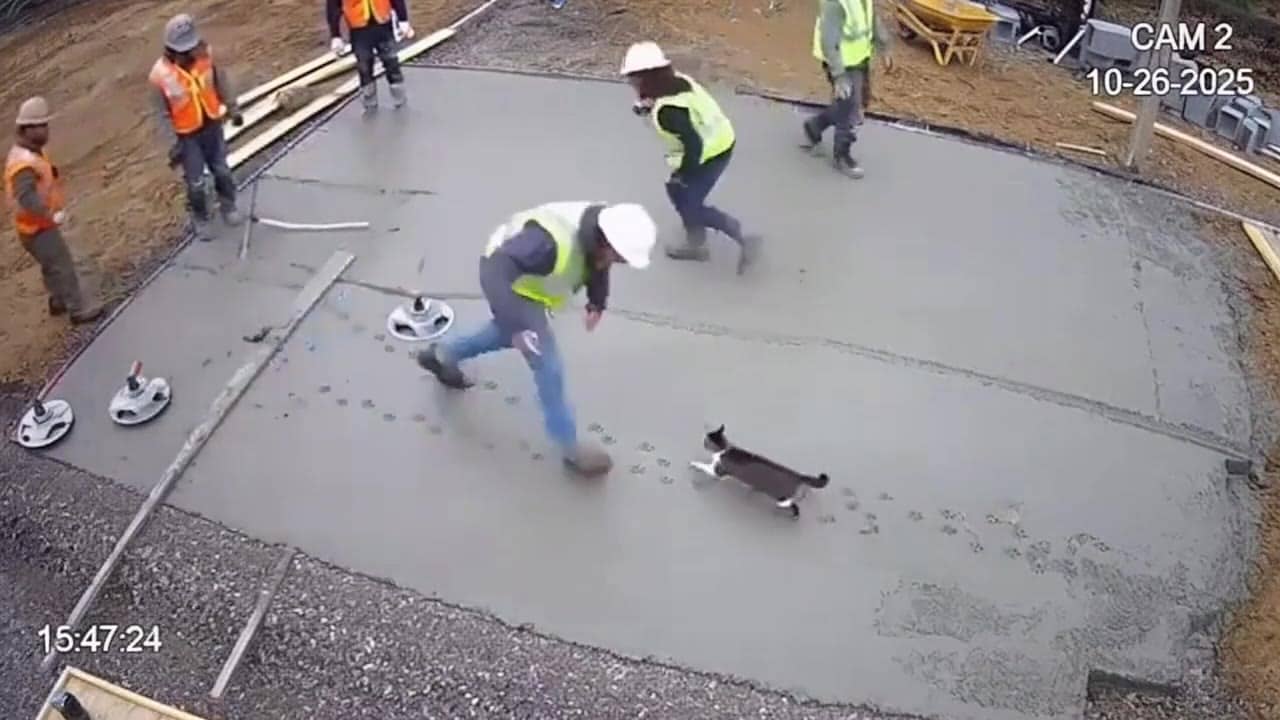 Sora 2 Pro a cctv of a group of constructions works who have just la...